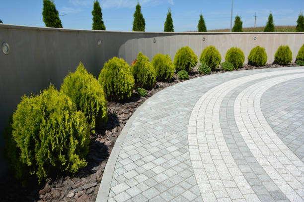 Best Permeable Paver Driveway  in Wabasha, MN